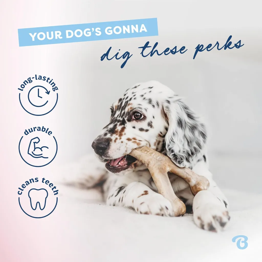 BENEBONE WISHBONE PUPPY BAC 2.webp
