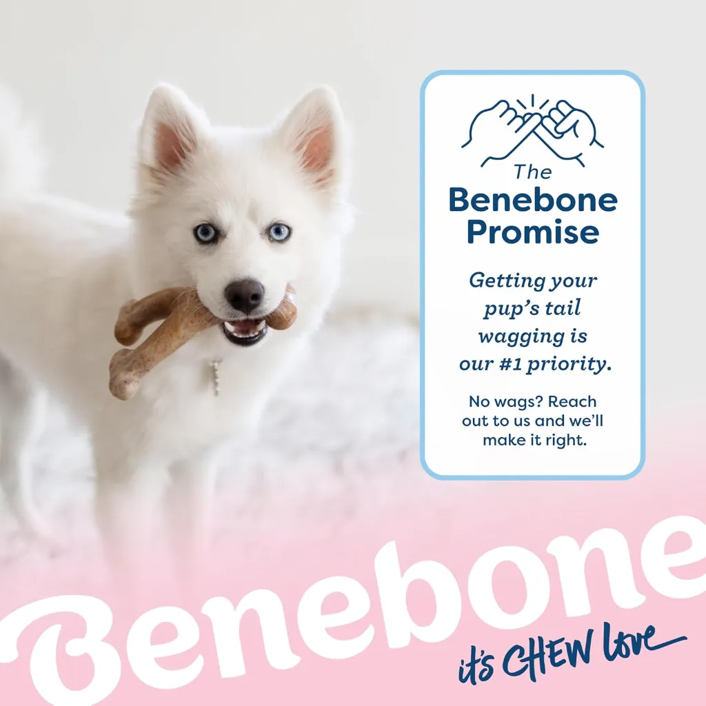 BENEBONE WISHBONE PUPPY BAC 4.webp