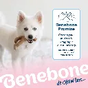 BENEBONE WISHBONE PUPPY BAC 4.webp