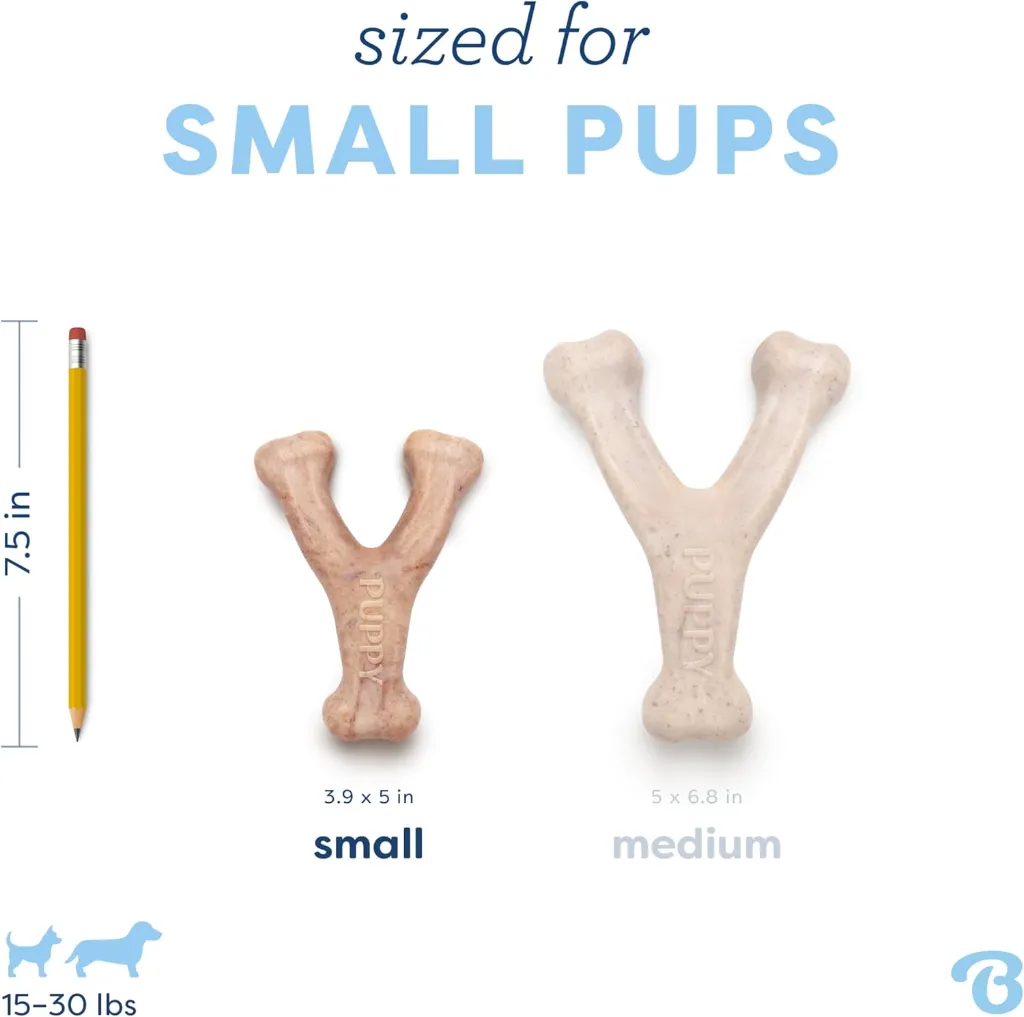 BENEBONE WISHBONE PUPPY BAC 3.webp