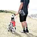 Petisqueira Kong 3.webp