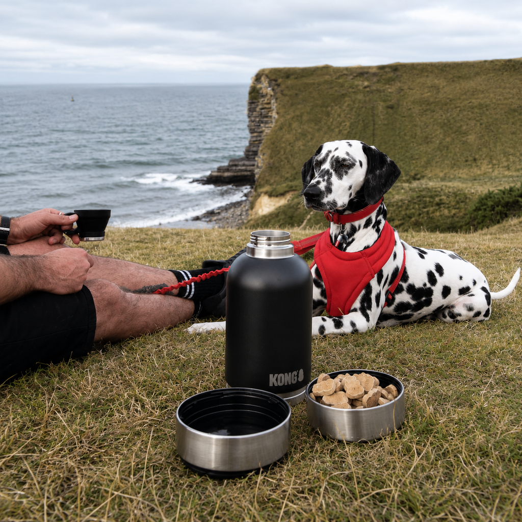 KODA_SITE_IMAGE_20260707_09_T247_1B09CCBA-738B-4EFB-966E-8B3BA9924C25.png