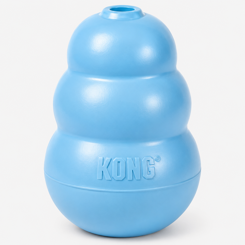 KODA_SITE_IMAGE_20260707_14_T246_3BB48839-B4D8-465A-9A88-E809F0C4B6D9.png