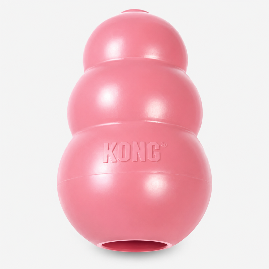 KODA_SITE_IMAGE_20260707_31_T246_7EC921E0-BA1D-4E43-BB8A-A48C2C989DB1.png