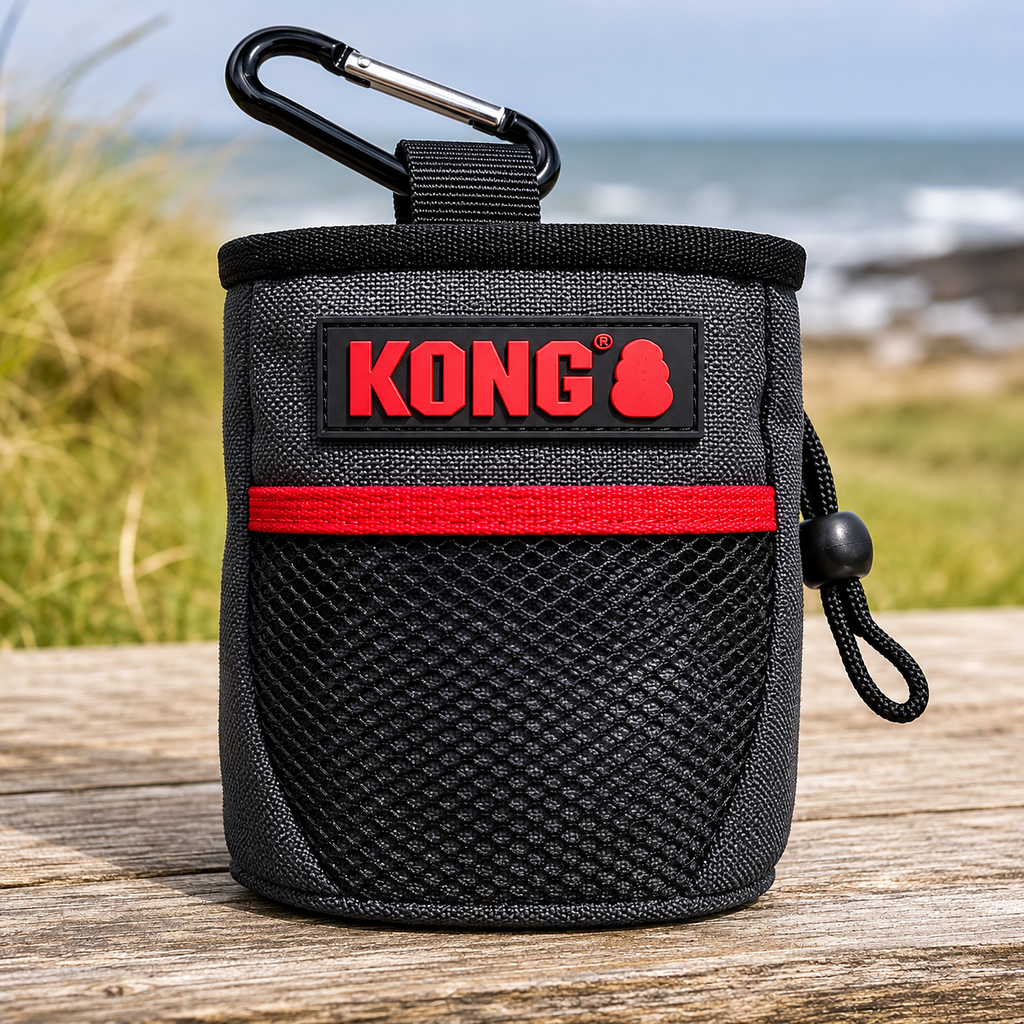 KODA_SITE_IMAGE_20260707_48_T186_BDF47D9F-C2F7-4149-8CE2-85D8F3DABE21.png