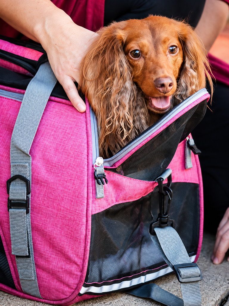 KODA_SITE_IMAGE_20260707_49_T242_C5E403ED-EFA8-4424-9EDF-C8044187B43B.png