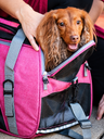 KODA_SITE_IMAGE_20260707_49_T242_C5E403ED-EFA8-4424-9EDF-C8044187B43B.png