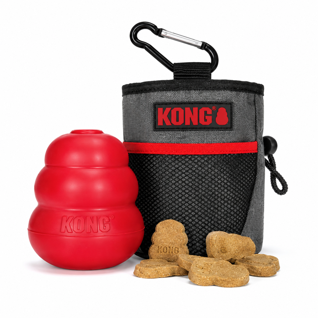 KODA_SITE_IMAGE_20260707_56_T186_D9DC362D-9300-4624-B6C8-25E1AD5BBC08.png
