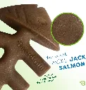 BENEBONE 2-PACK FISHBONE TINY 2.webp