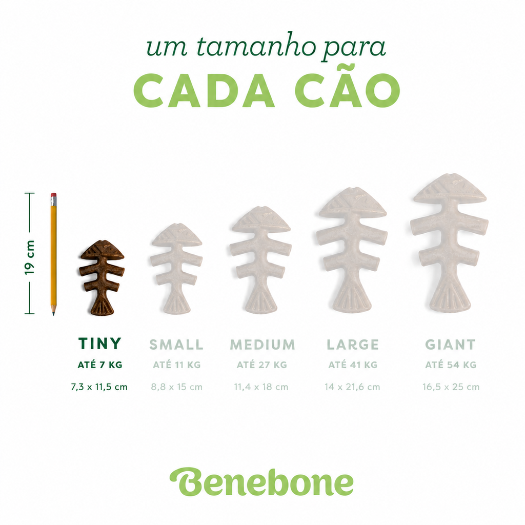 BENEBONE 2-PACK FISHBONE TINY - MEDIDAS.png