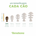 BENEBONE 2-PACK FISHBONE TINY - MEDIDAS.png