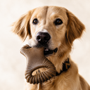 BENEBONE DENTAL CHEW FRANGO - FOTO FINAL 3.png