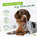 BENEBONE DENTAL CHEW AMENDOIM - FOTO FINAL 1.png