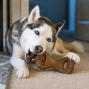 BENEBONE DENTAL CHEW AMENDOIM - FOTO FINAL 2.png