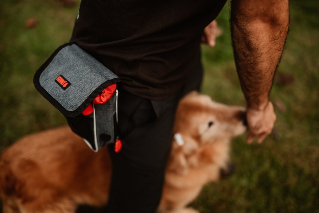 PETISQUEIRA - KONG TRAVEL HIKING BAG - foto 4