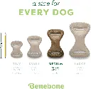 BENEBONE DENTAL CHEW AMENDOIM 3.webp