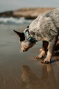 IMG_3832