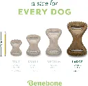 BENEBONE DENTAL CHEW CHICKEN 3.webp