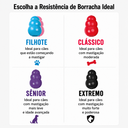 KONG PUPPY - comparativo de resistencias - foto 4