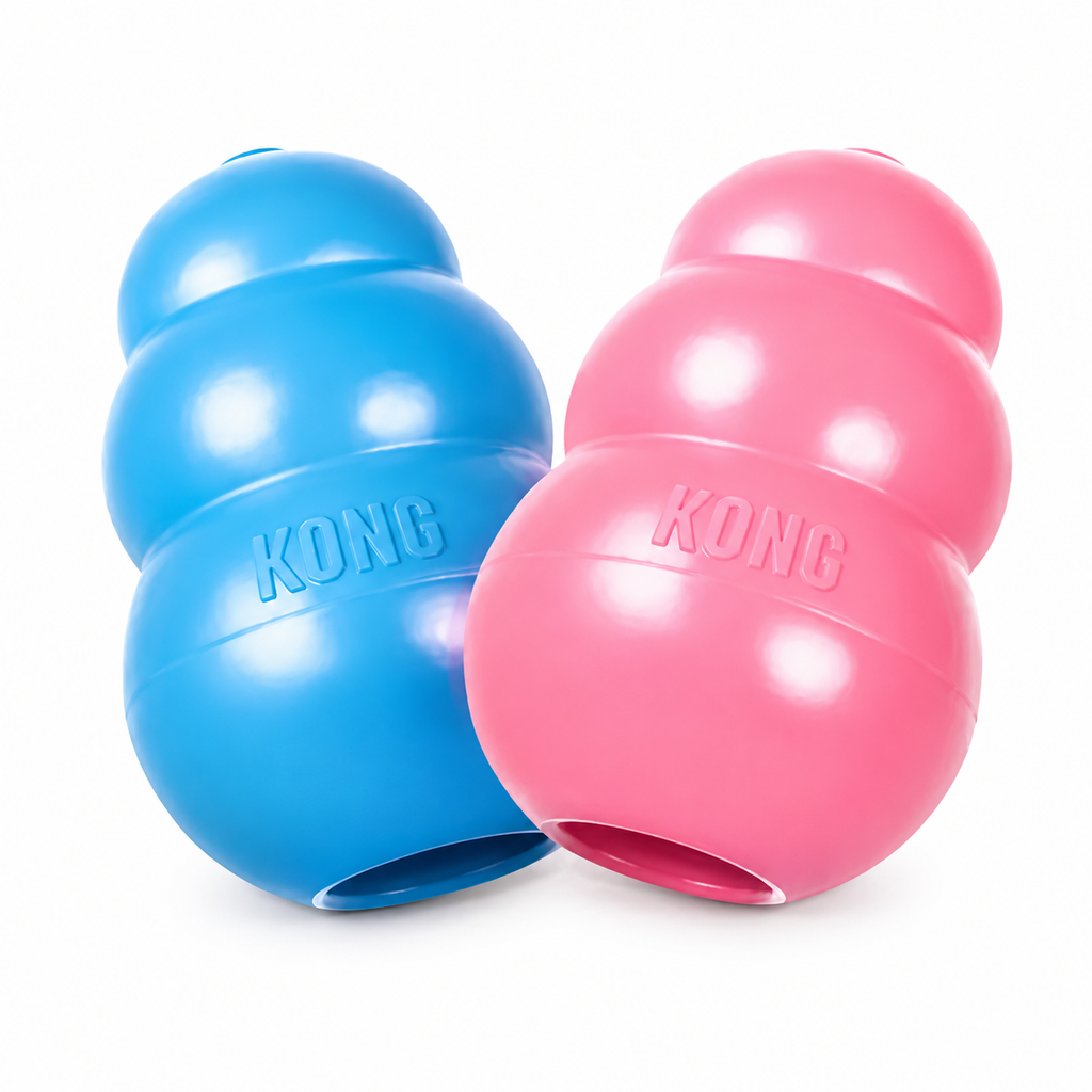 KONG PUPPY - foto 6 - ADC12900-DD37-4C35-A062-E0981F9D3BD3