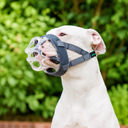 FOCINHEIRA BASKERVILLE INVISA - CACHORRO BULL TERRIER.png