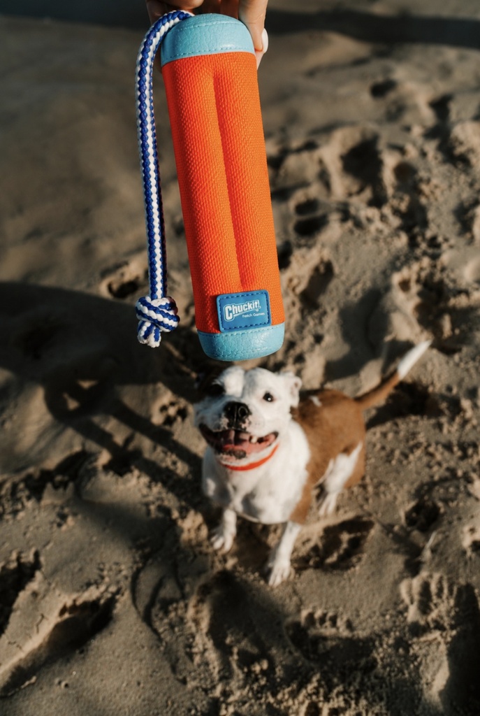 AMPHIBIOUS BUMPER - CACHORRO PRAIA 1.png