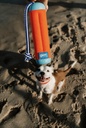 AMPHIBIOUS BUMPER - CACHORRO PRAIA 1.png