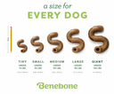 BENEBONE TRIPE BONE - TABELA TAMANHOS.png