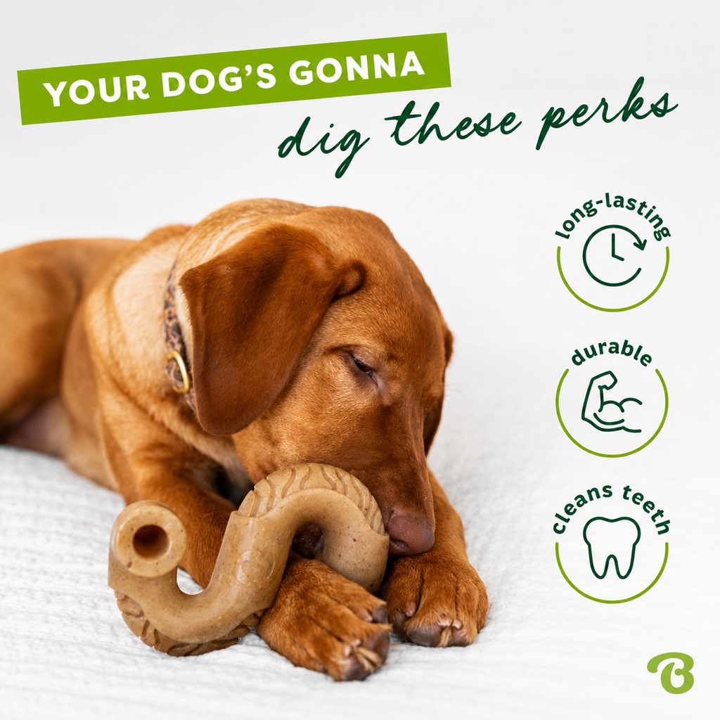 BENEBONE TRIPE BONE - DIG THESE PERKS.png