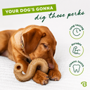 BENEBONE TRIPE BONE - DIG THESE PERKS.png