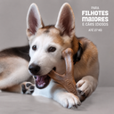 BENEBONE WISHBONE PUPPY - CACHORRO MASTIGANDO.png