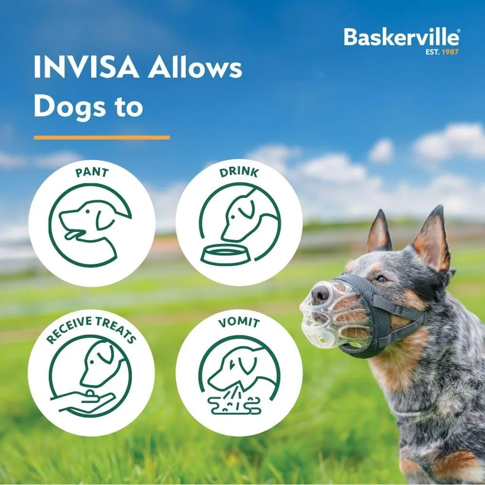 CA BASKERVILLE INVISA 4-G 4.webp