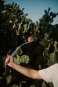 Chuckit Confetti - em uso, braco estendido