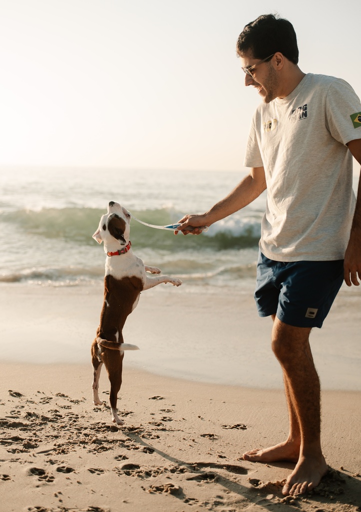 Chuckit Tradicional - cao pulando na praia