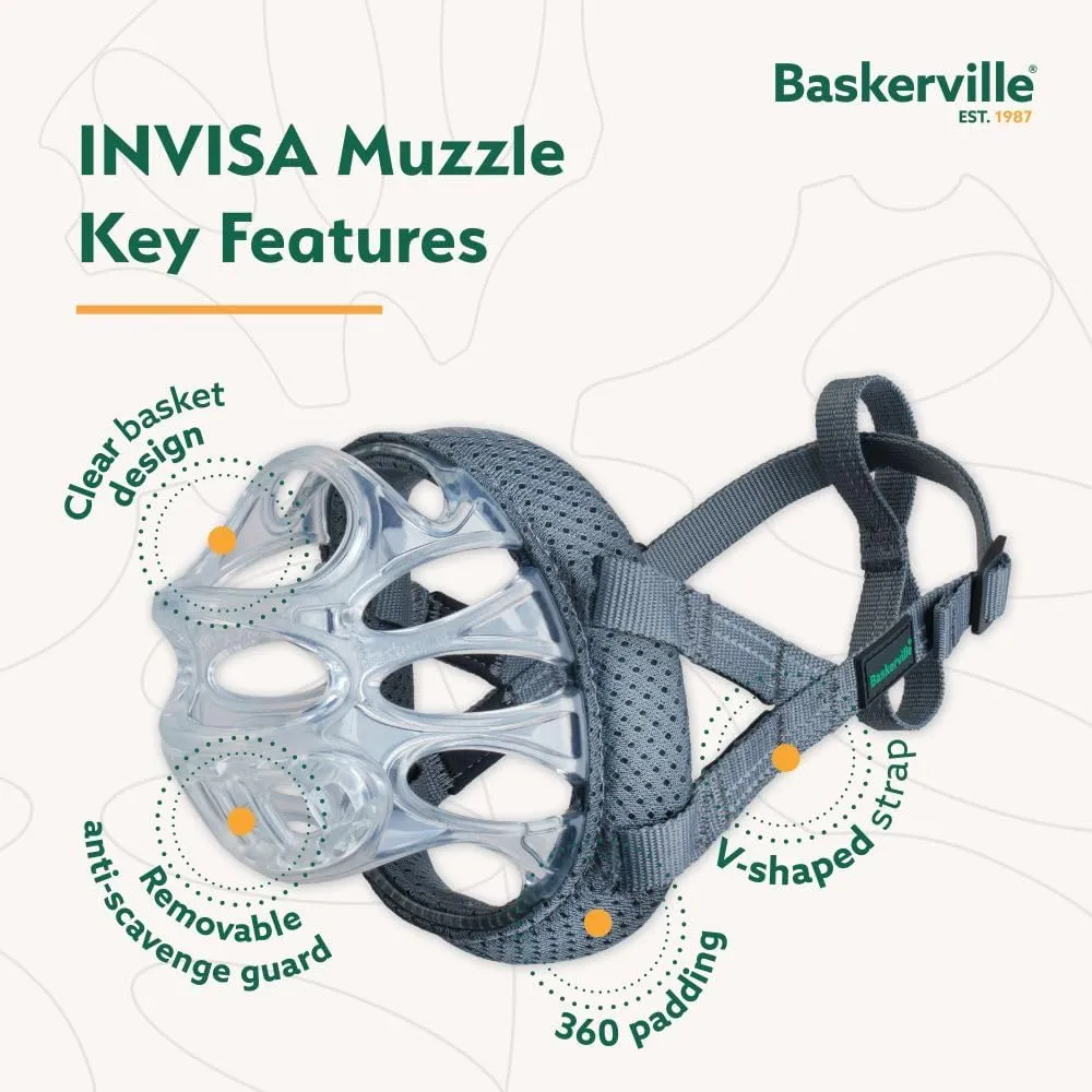 CA BASKERVILLE INVISA 4-G 3.webp
