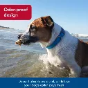 Coastal Pet Coastal Pro Adjustable Waterproof Collar Aqua Blue SM.webp