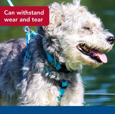 Coastal Pet Coastal Pro Adjustable Waterproof Collar Aqua Blue MD 2.webp