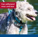 Coastal Pet Coastal Pro Adjustable Waterproof Collar Aqua Blue MD 2.webp