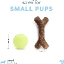 BENEBONE MAPLESTICK PUPPY P 4.webp