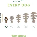 BENEBONE 2-PACK FISHBONE TINY 3.webp
