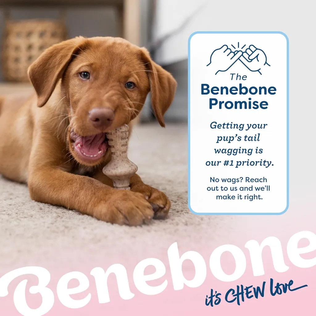 BENEBONE PUPPY 2-PACK MAP+ZAG 4.webp