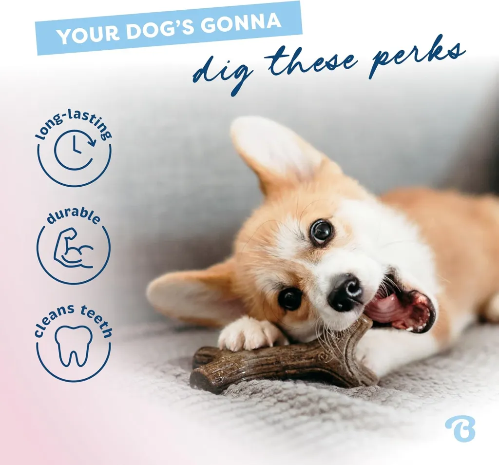 BENEBONE MAPLESTICK PUPPY P 3.webp