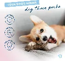 BENEBONE MAPLESTICK PUPPY P 3.webp