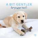 BENEBONE MAPLESTICK PUPPY P 2.webp