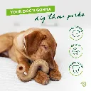 BENEBONE TRIPE BONE 3.webp