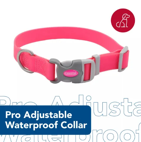 Coastal Pet Coastal Pro Adjustable Waterproof Collar Aqua Fuscia SM 2.webp