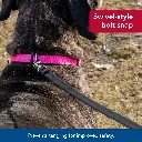 COASTAL COL PRO ADJ WATERPROOF FUSCIA XS.webp