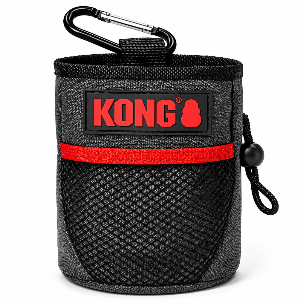 [KD26/1-0025] PETISQUEIRA - KONG TRAVEL TRAIN & TREAT BAG