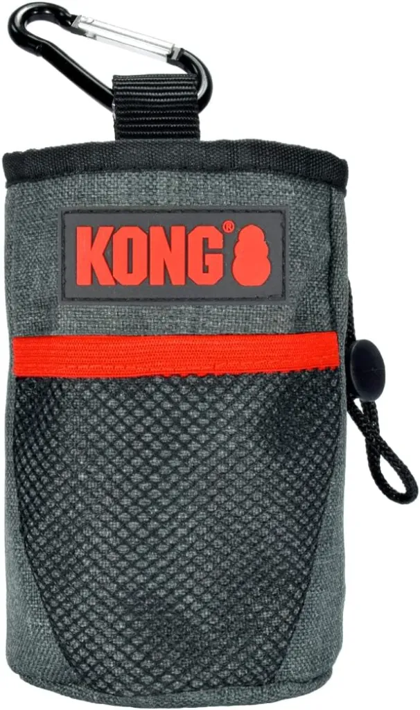 PETISQUEIRA - KONG TRAVEL TRAIN & TREAT BAG
